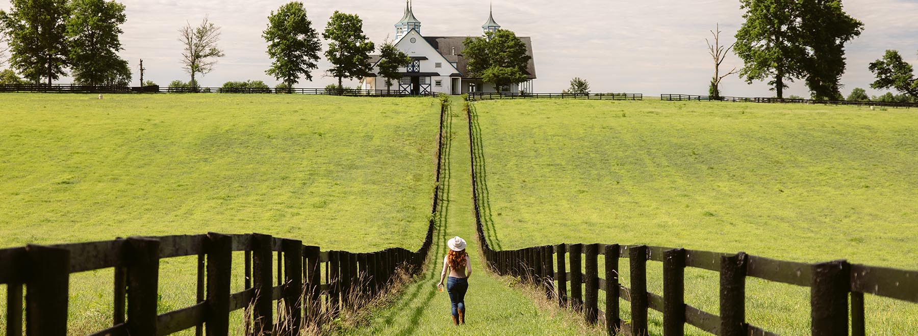 Kentucky Horse Farms Tour