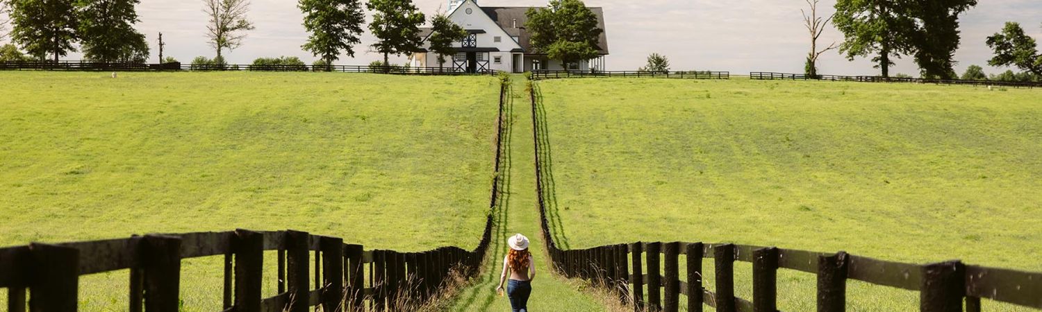 Kentucky Horse Farms Tour