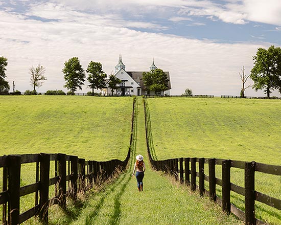 Kentucky Horse Farms Tour