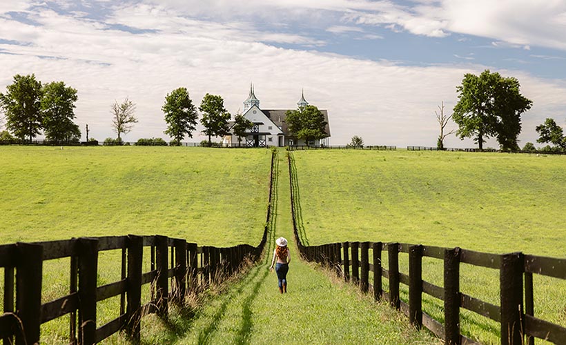 Kentucky Horse Farms Tour