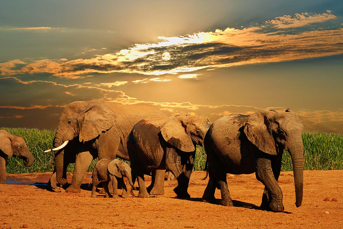Addo, South Africa
