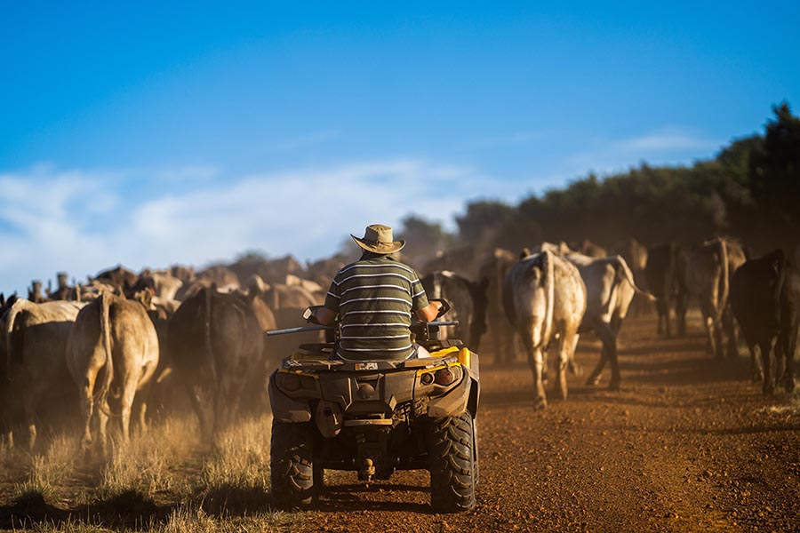 Agriculture in New Zealand