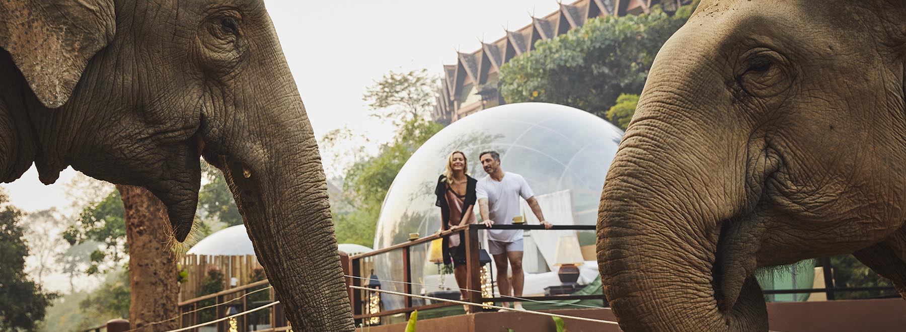 Anantara Golden Triangle Elephant Camp & Resort