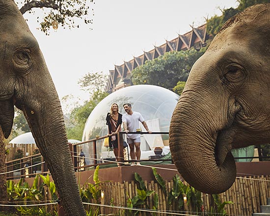 Anantara Golden Triangle Elephant Camp & Resort