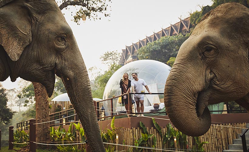 Anantara Golden Triangle Elephant Camp & Resort