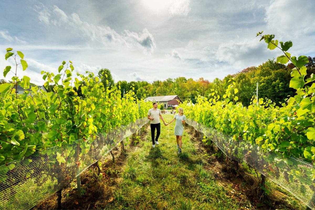 Annapolis Valley