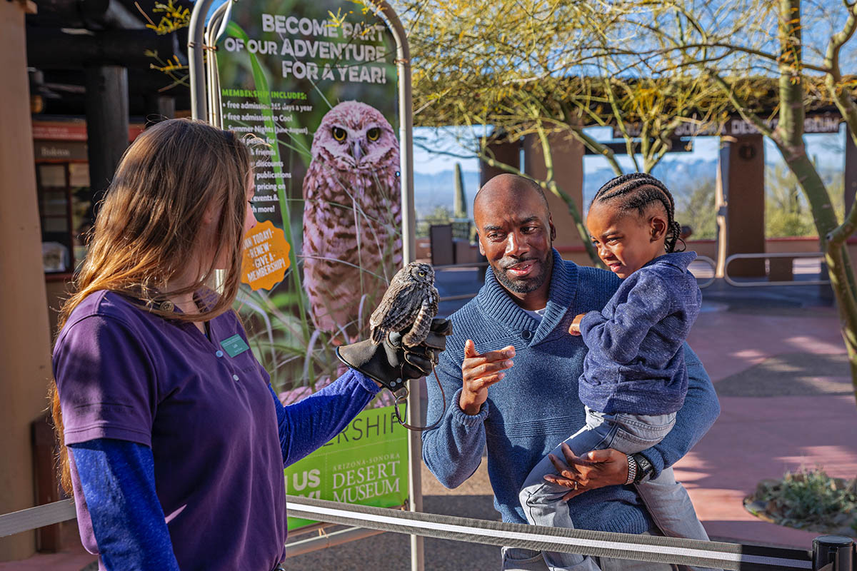 Arizona-Sonora Desert Museum