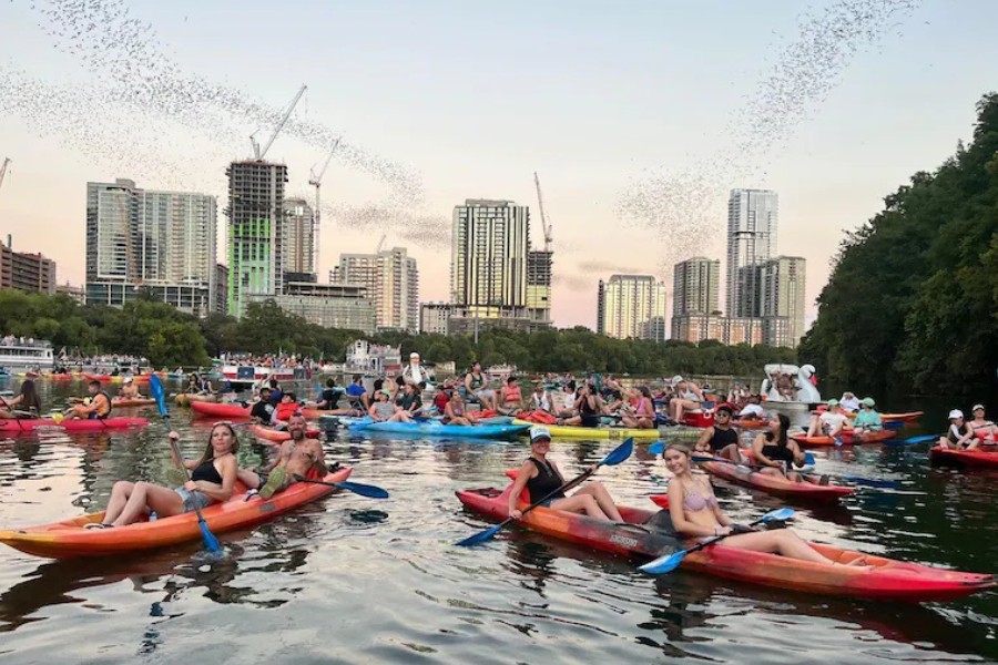 Austin Kayaking With Bats