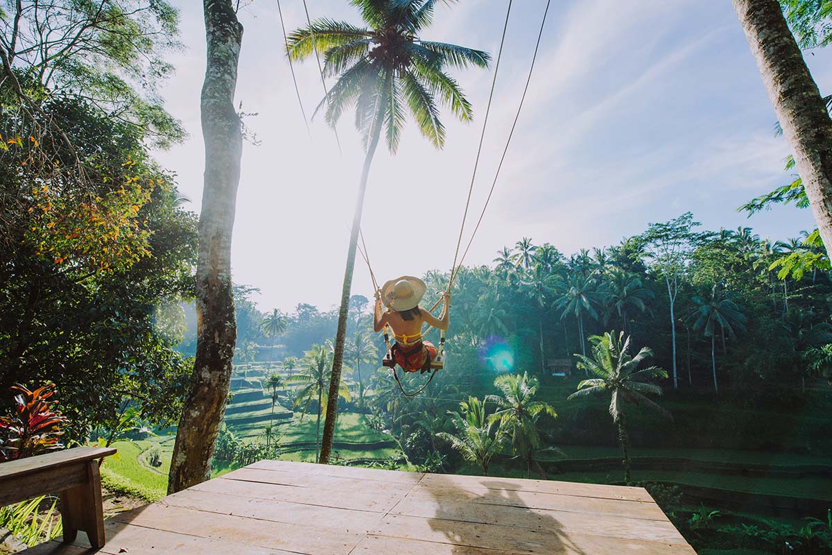 Monkey Forest, Ubud Swing, Waterfalls & Rice Terraces
