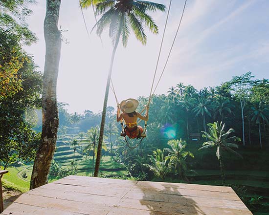 Monkey Forest, Ubud Swing, Waterfalls & Rice Terraces