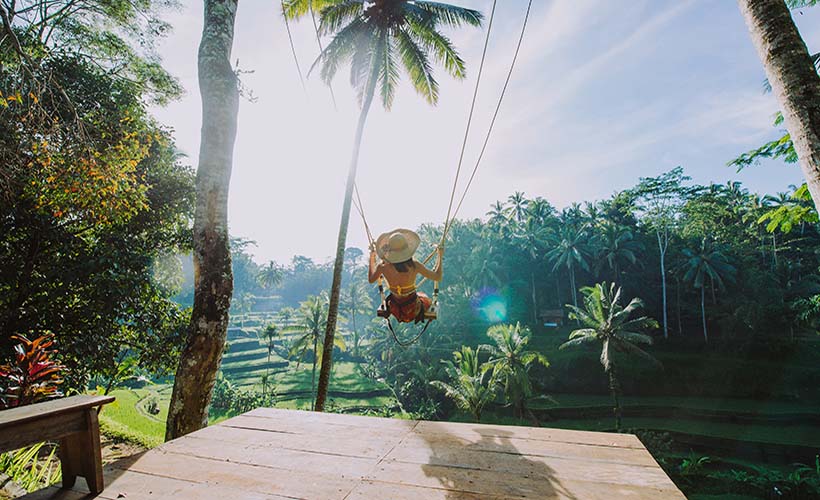 Monkey Forest, Ubud Swing, Waterfalls & Rice Terraces