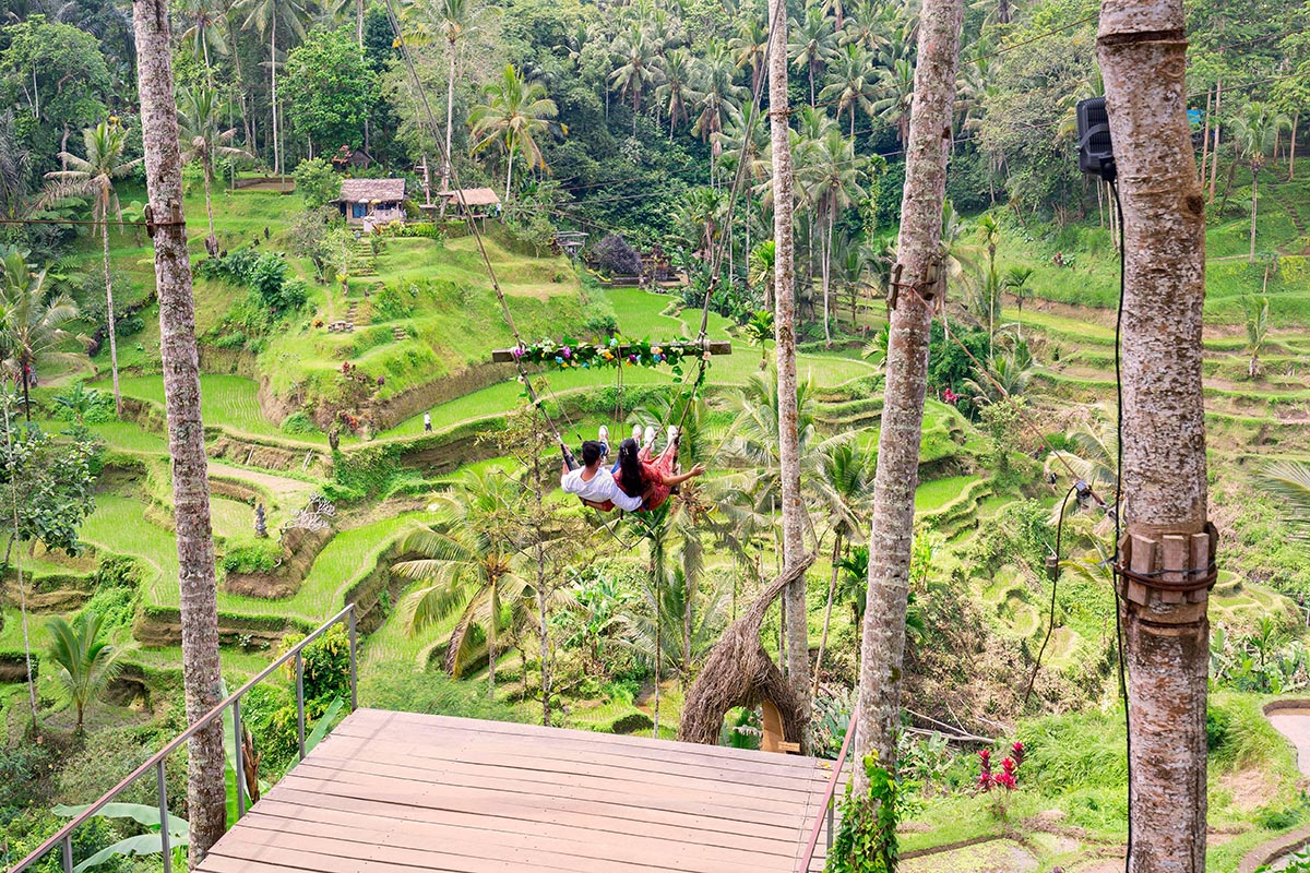 Monkey Forest, Ubud Swing, Waterfalls & Rice Terraces