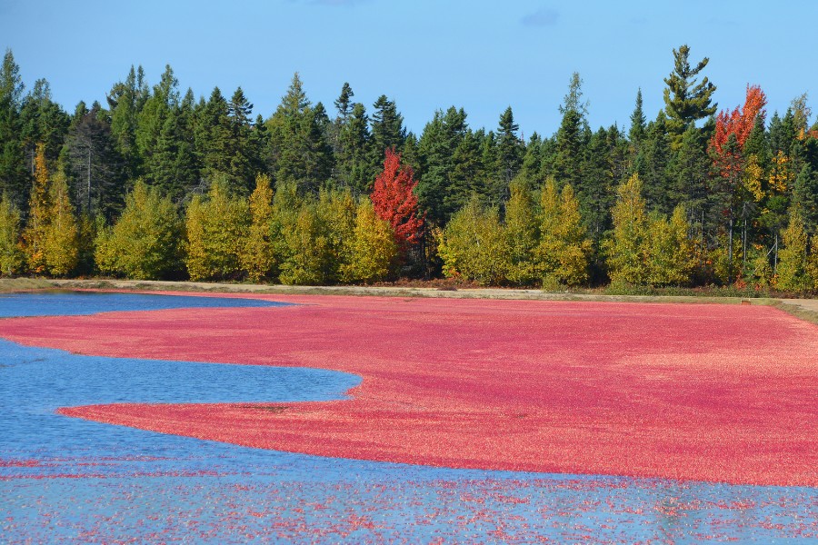 Bécancour