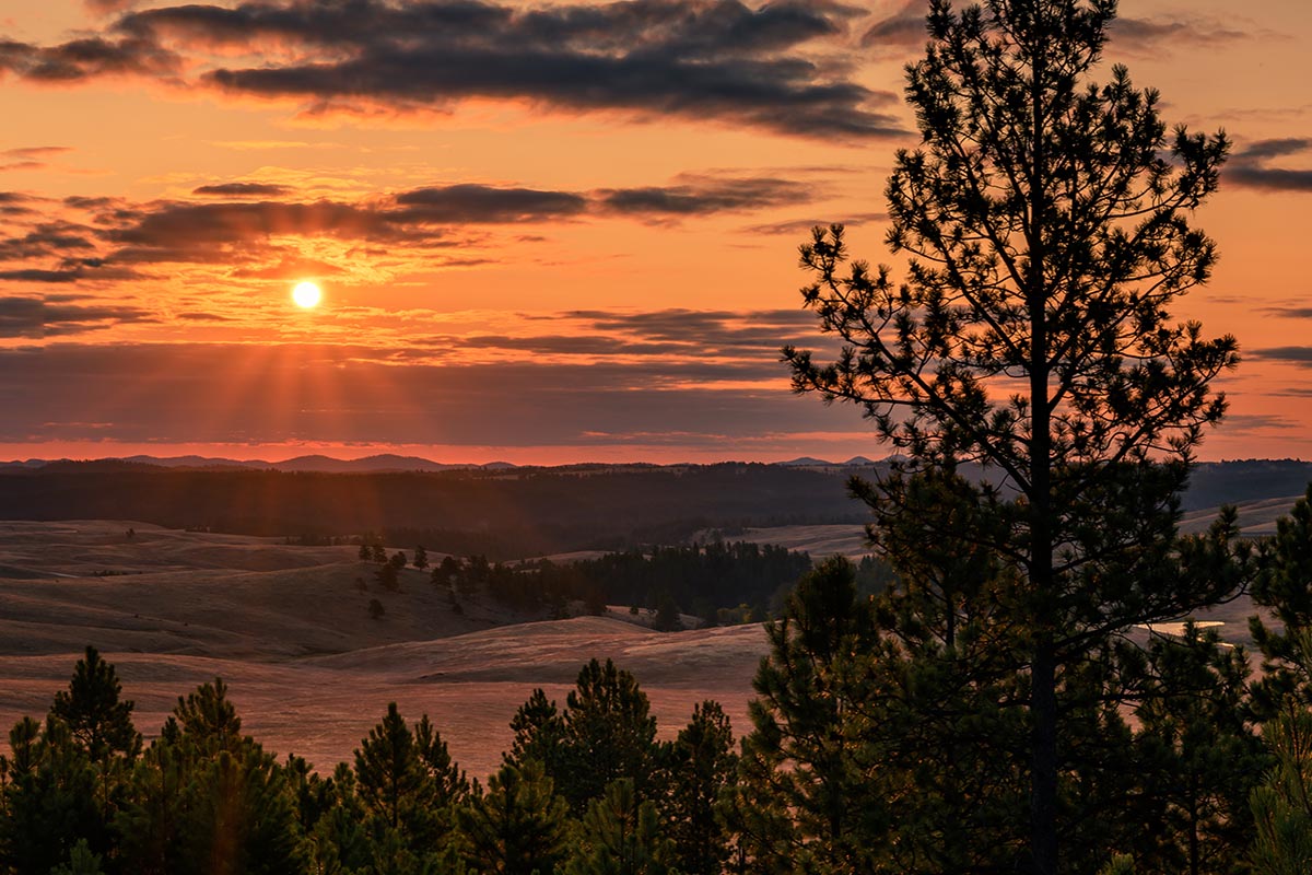 Black Hills of South Dakota