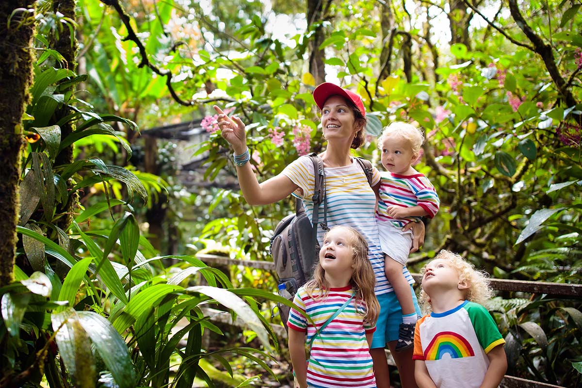 Wild Borneo & Beyond: A Malaysian Family Adventure