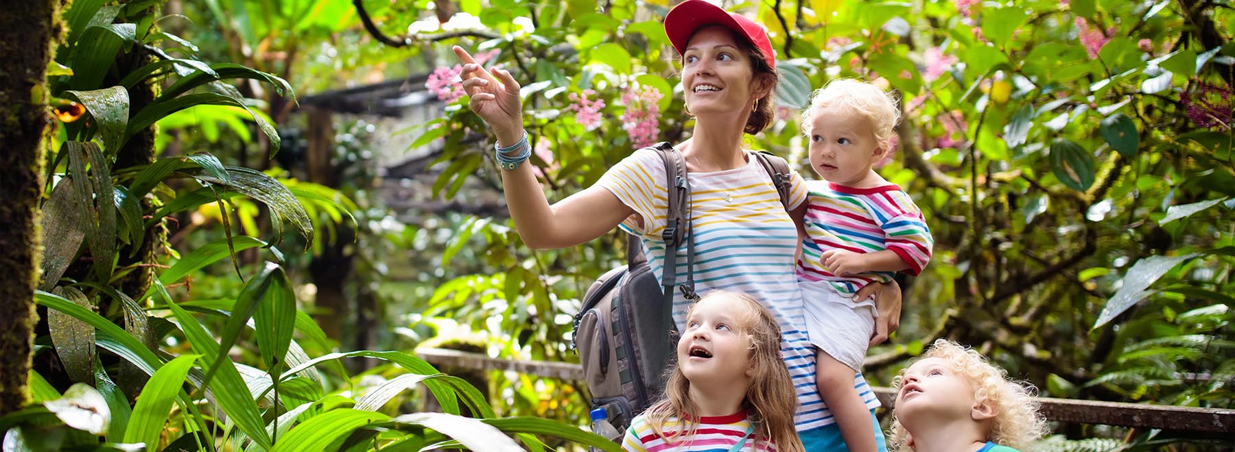 Wild Borneo & Beyond: A Malaysian Family Adventure
