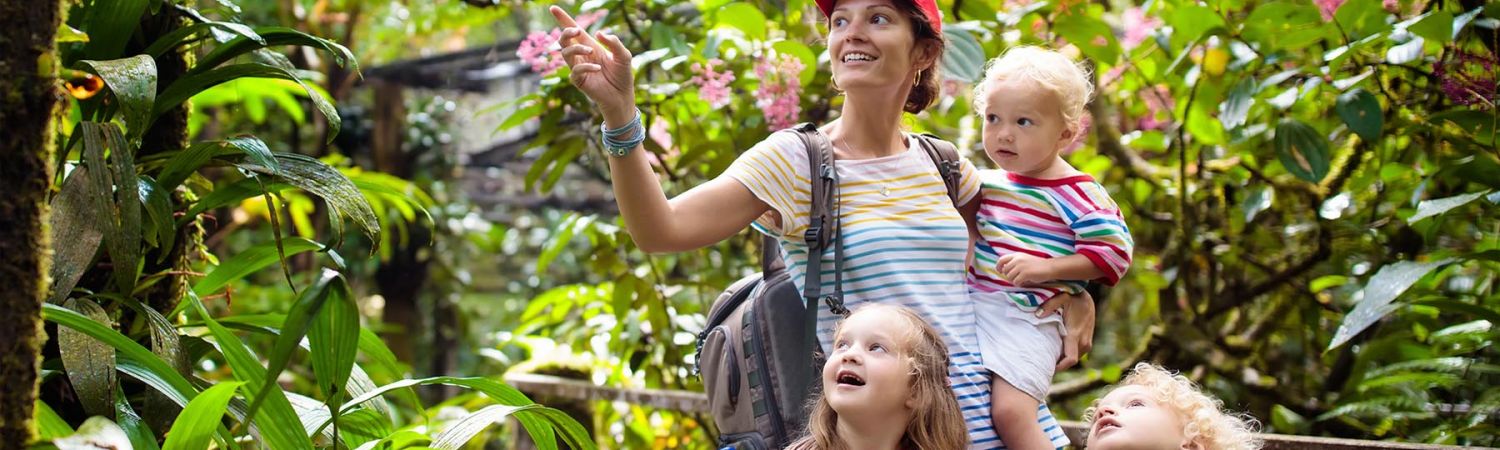 Wild Borneo & Beyond: A Malaysian Family Adventure