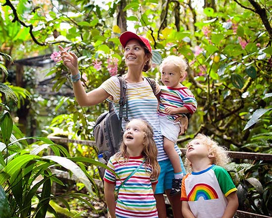 Wild Borneo & Beyond: A Malaysian Family Adventure