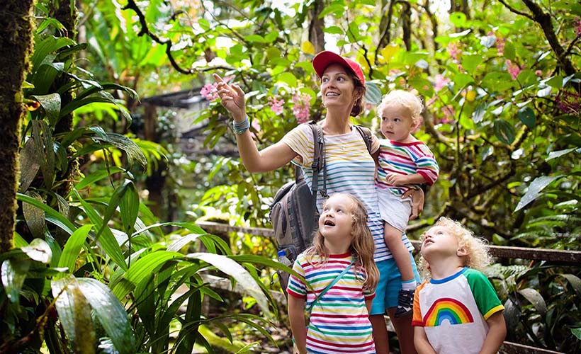 Wild Borneo & Beyond: A Malaysian Family Adventure