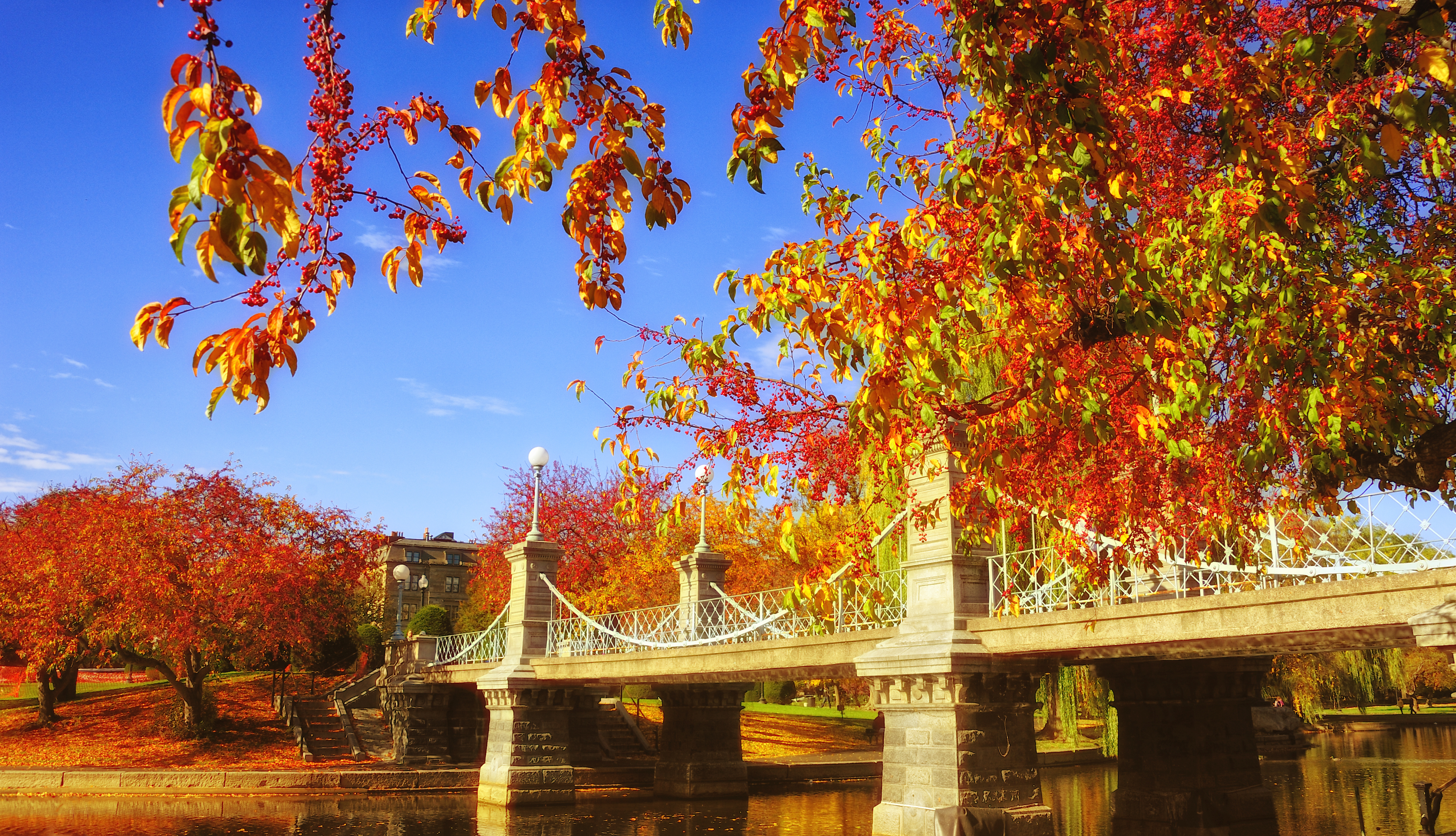 Boston in the fall
