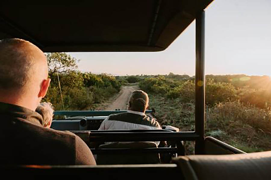 Bukela Game Lodge - Amakhala Game Reserve