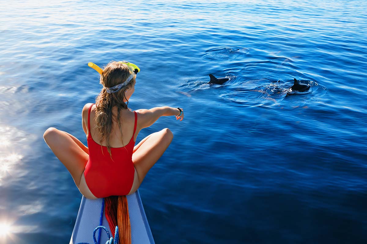 Dolphin Tour in Byron Bay, Australia