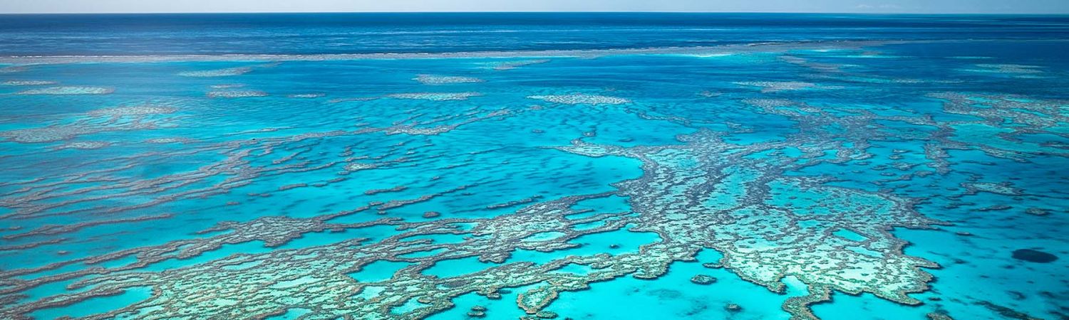 The Great Barrier Reef