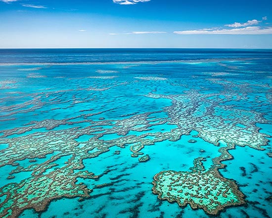 The Great Barrier Reef