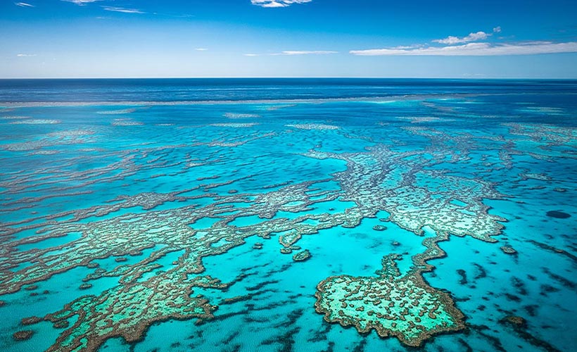The Great Barrier Reef