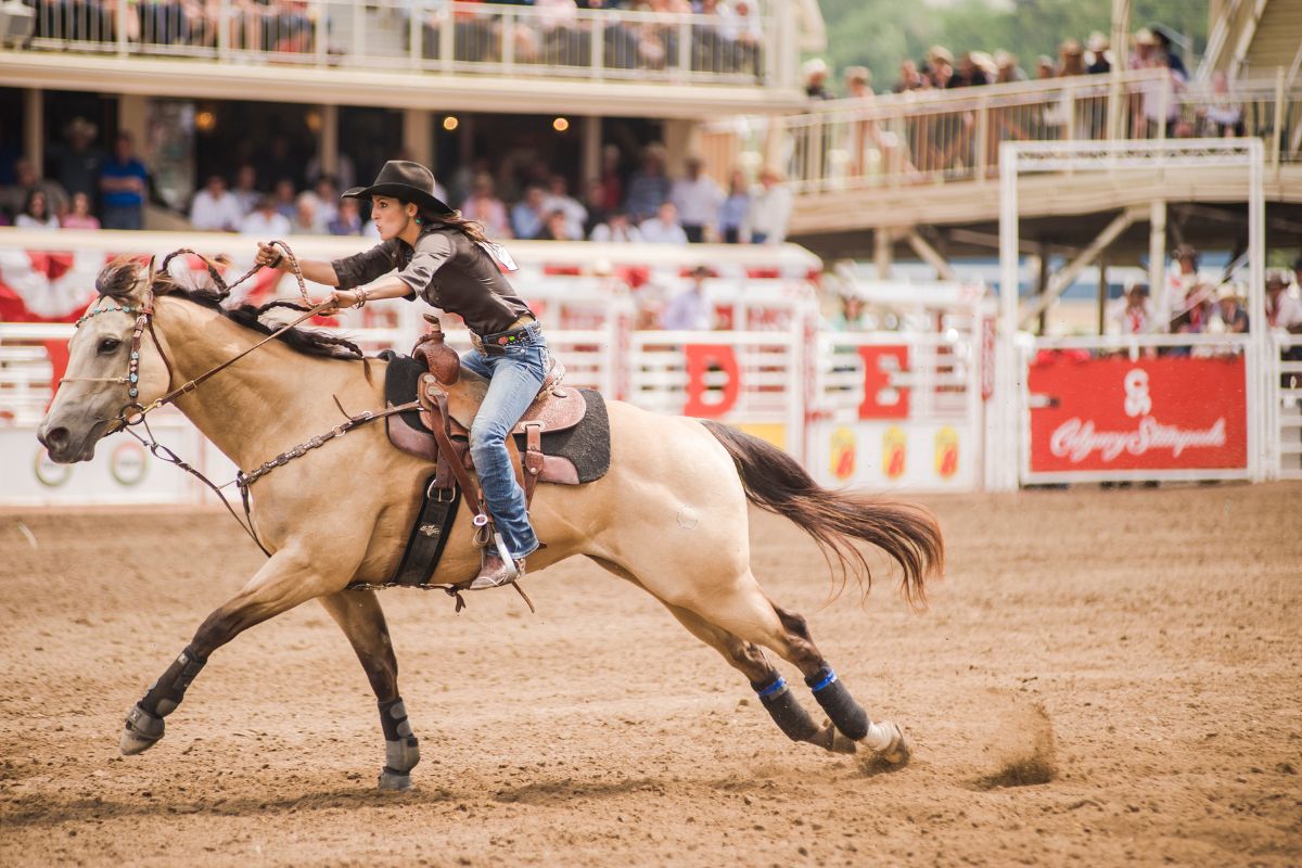 Calgary Stampede