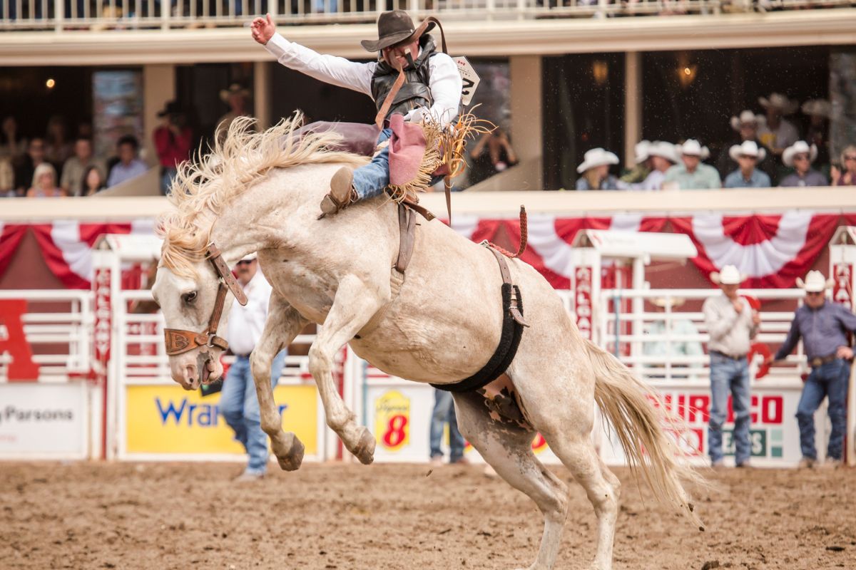 Calgary Stampede