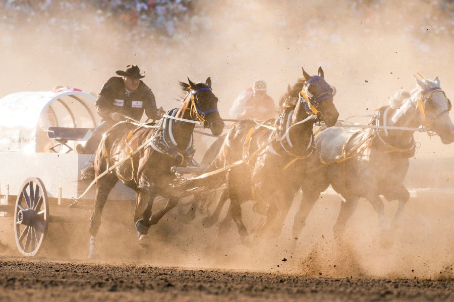 Calgary Stampede