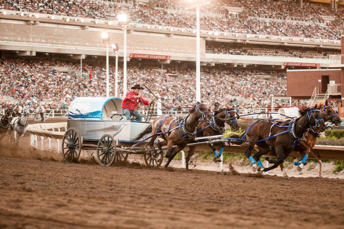 Calgary Stampede