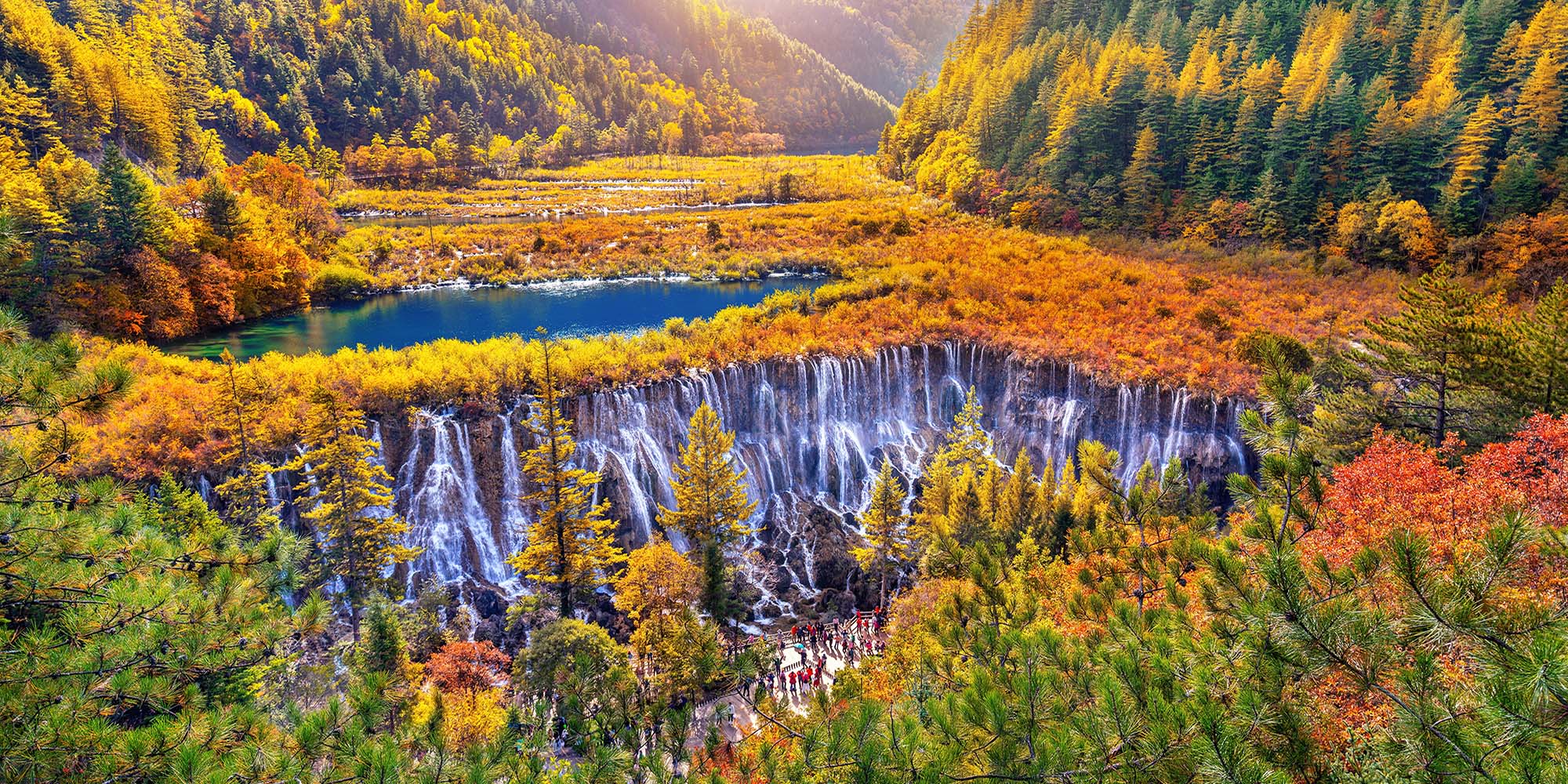 Fall Foliage Fantasies: A Kaleidoscope of Colours Around the World