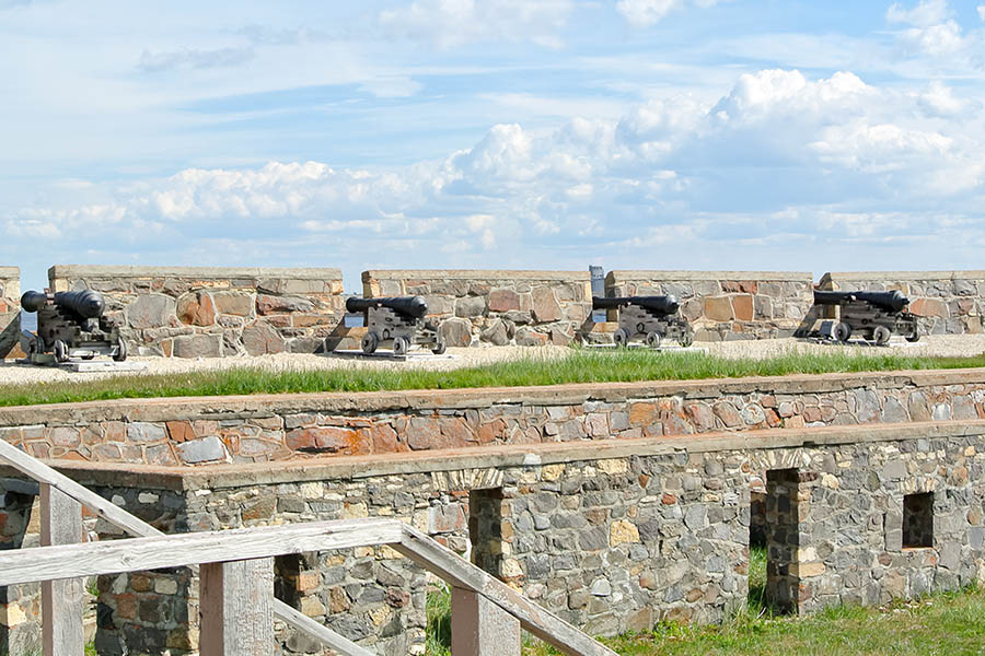 Beluga Whale Zodiac Cruise & Prince of Wales Fort Tour