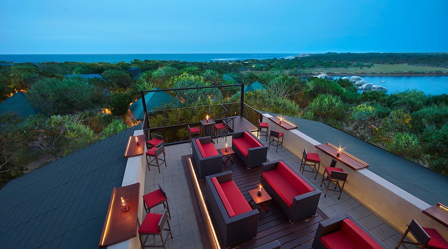 Cinnamon Wild, Yalla