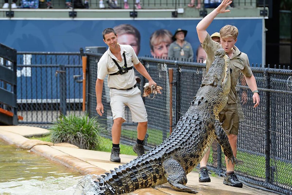 Australia Zoo with Transfers