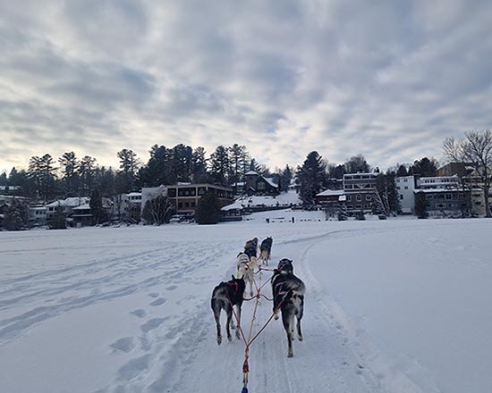 Dog Sledding Lake Placid