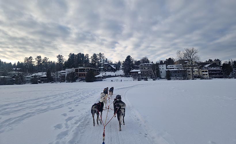 Dog Sledding Lake Placid