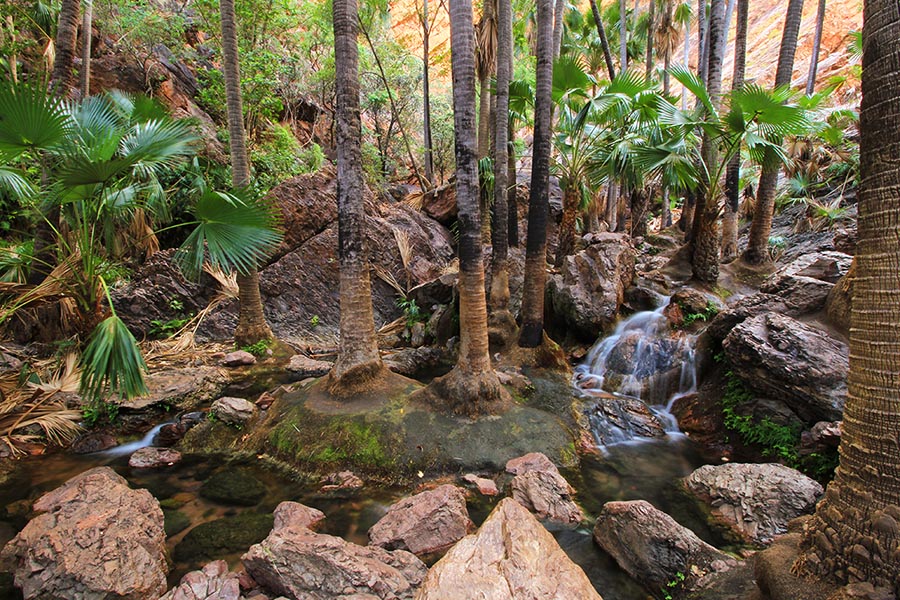 Zebedee Springs
