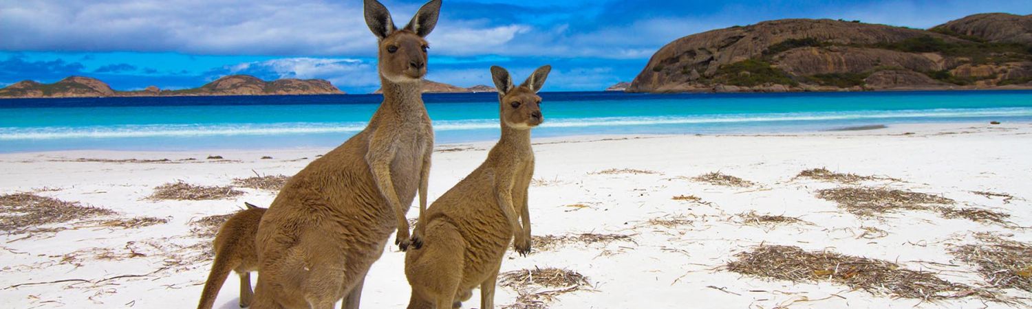 Lucky Bay, Esperance