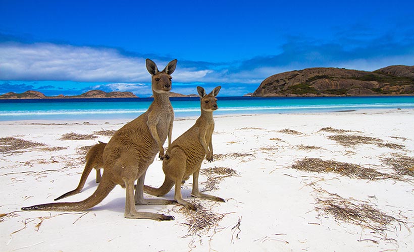 Lucky Bay, Esperance