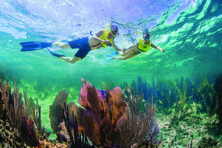 Ultimate Key West Overnight Tour