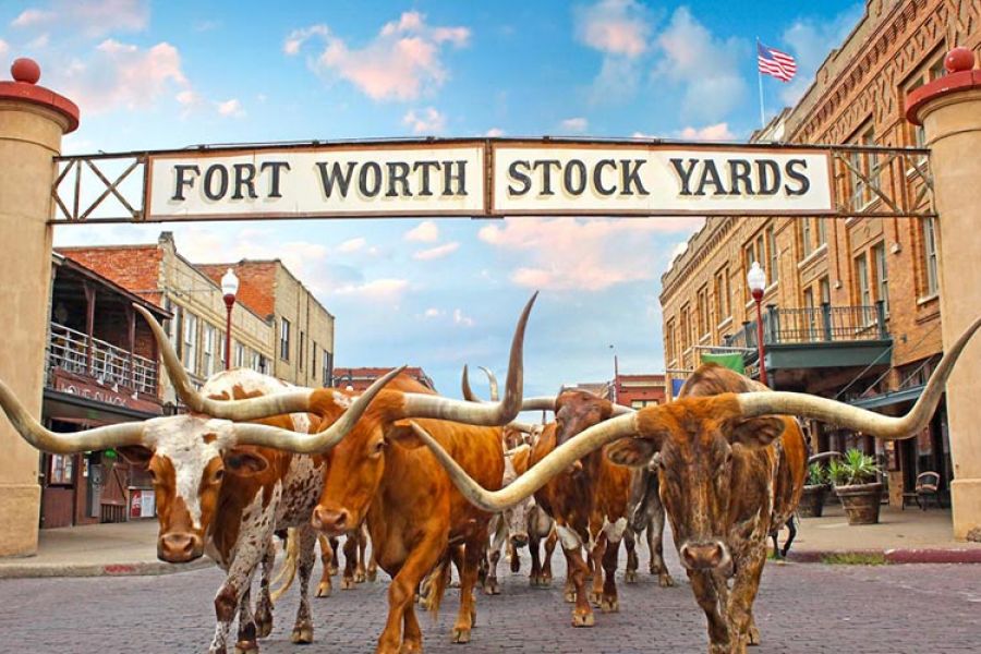 Fort Worth
