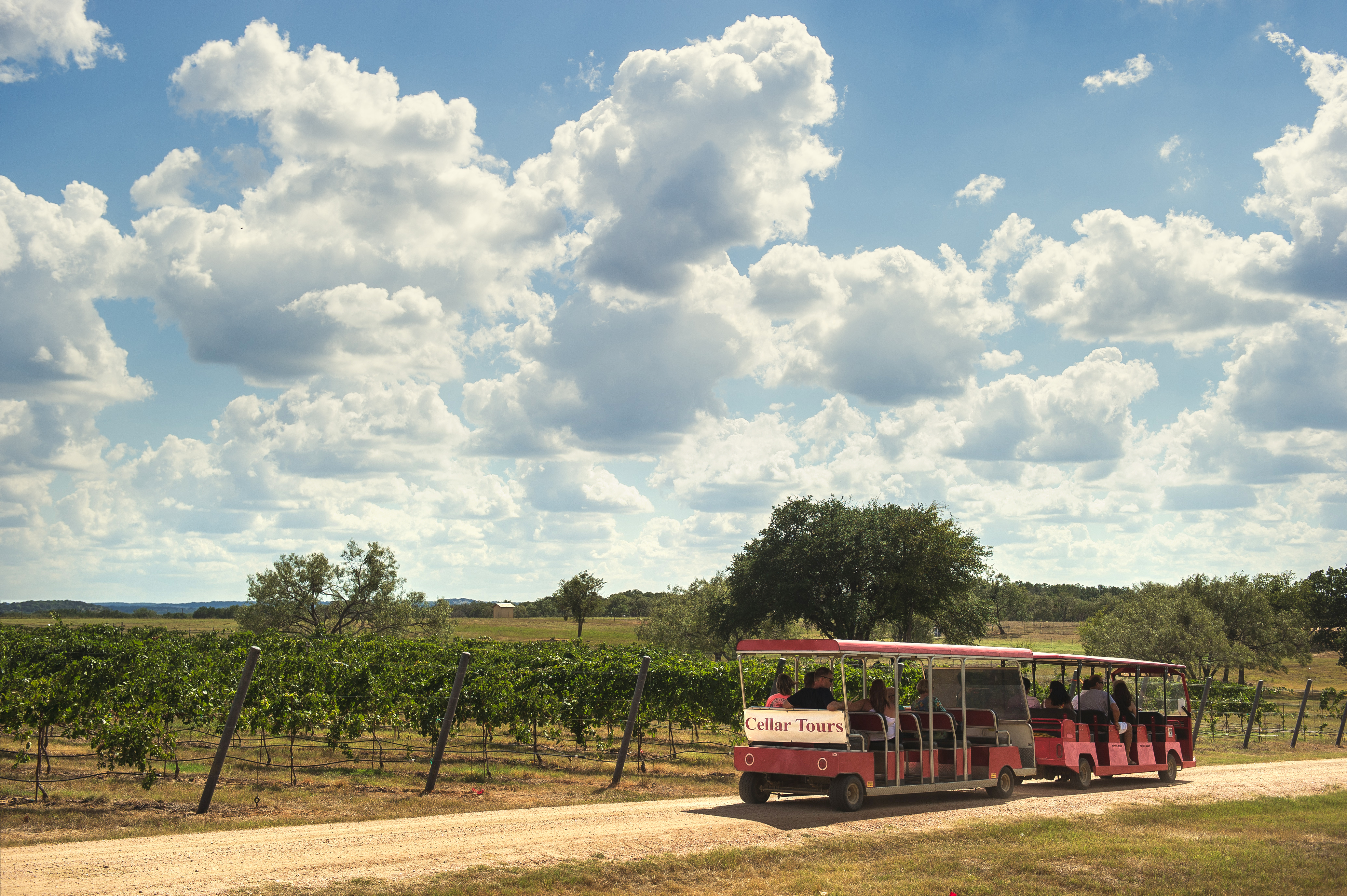 Fredericksburg Wine Trolley, Texas