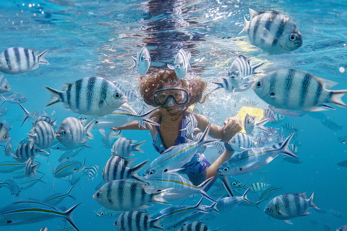 Snorkelling - Credit Tourism Fiji