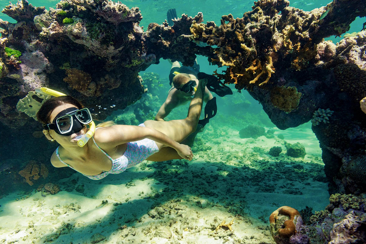 Silversonic Barrier Reef Dive & Snorkel Experience