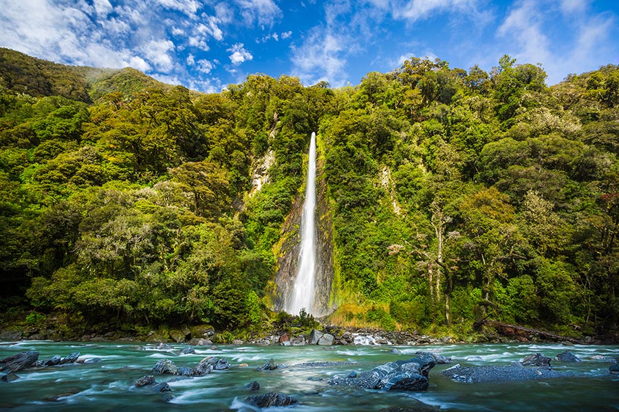 Thunder Creek Falls, Haast Pass