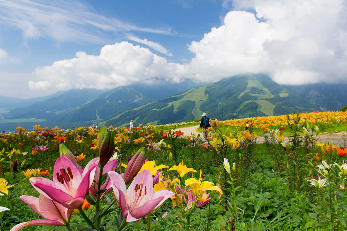 Hakuba
