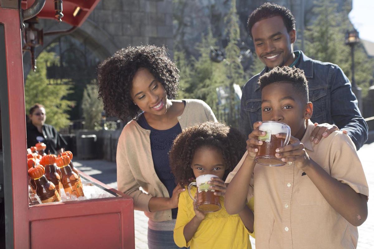 Disney & Universal Combo Ticket